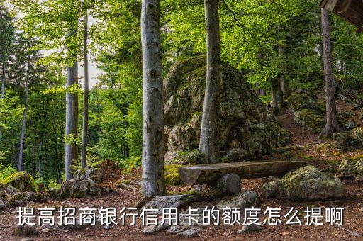 提高招商银行信用卡的额度怎么提啊