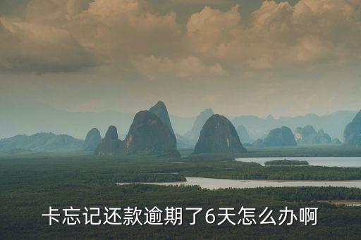 卡忘记还款逾期了6天怎么办啊