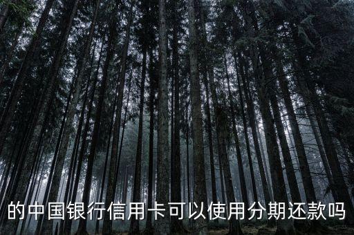 的中国银行信用卡可以使用分期还款吗