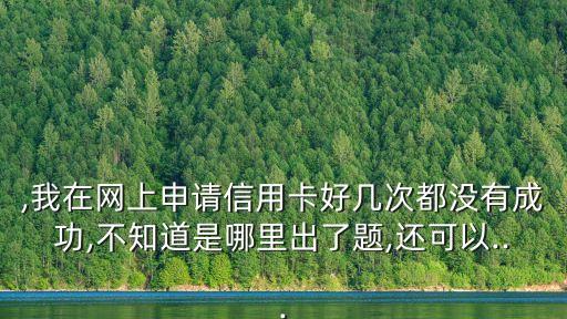 ,我在网上申请信用卡好几次都没有成功,不知道是哪里出了题,还可以...