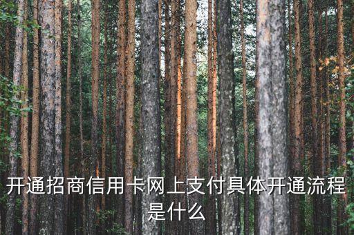 开通招商信用卡网上支付具体开通流程是什么
