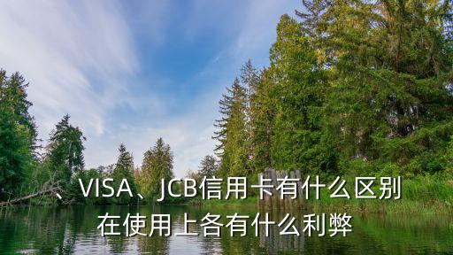 、VISA、JCB信用卡有什么区别在使用上各有什么利弊