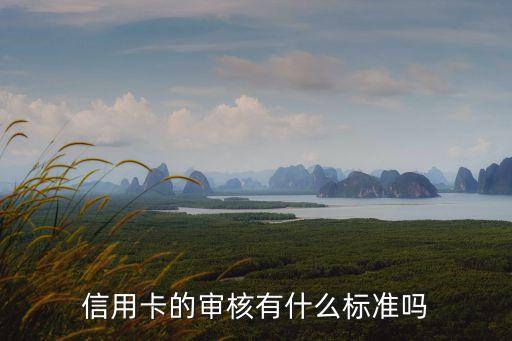信用卡的审核有什么标准吗