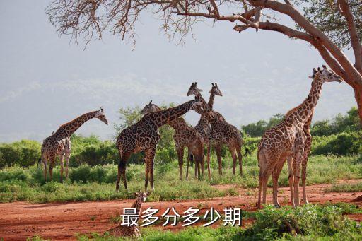 车贷信用卡可以办理分期吗,有车贷信用卡可以办信用卡吗