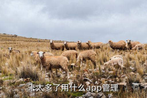 卡太多了用什么app管理