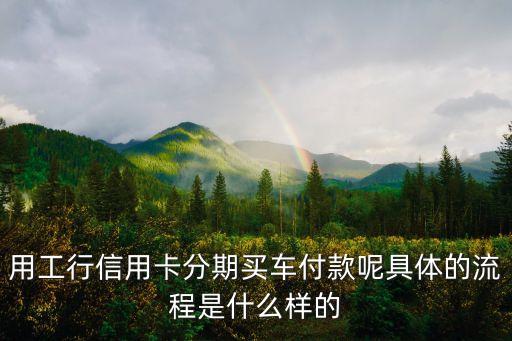 用工行信用卡分期买车付款呢具体的流程是什么样的