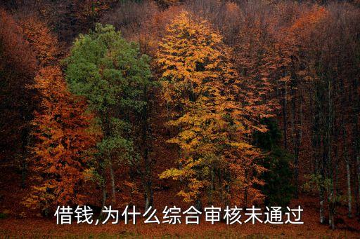 美团申请信用卡审核不过,为什么美团的信用卡申请失败了