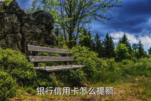 银行信用卡怎么提额