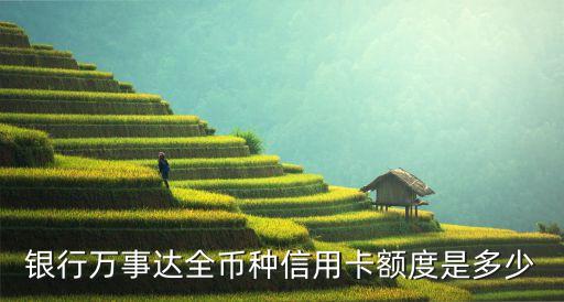 银行万事达全币种信用卡额度是多少