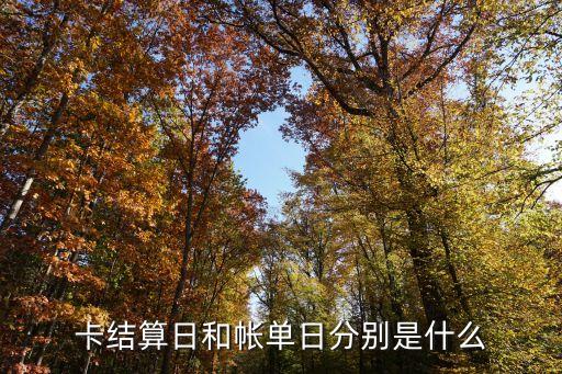 卡结算日和帐单日分别是什么