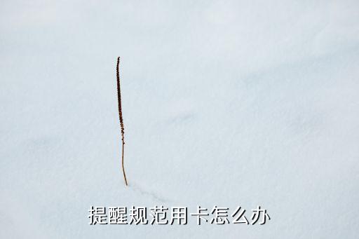 提醒规范用卡怎么办