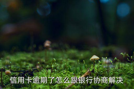 信用卡逾期了怎么跟银行协商解决