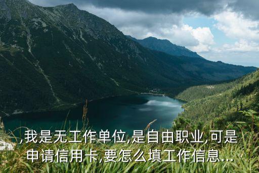 ,我是无工作单位,是自由职业,可是申请信用卡,要怎么填工作信息...