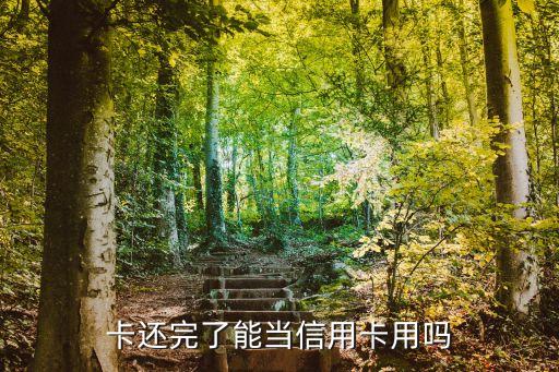 车贷卡有额度是不是就是信用卡,所以车贷是信用卡