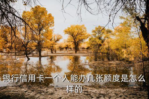 银行信用卡一个人能办几张额度是怎么样的