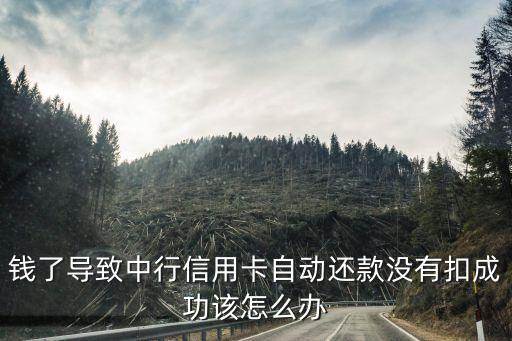 中行信用卡还款还不进去,中信银行信用卡还款日