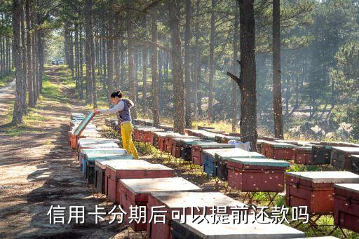 信用卡分期后可以提前还款吗