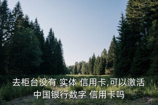 去柜台没有 实体 信用卡,可以激活中国银行数字 信用卡吗