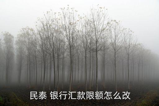  民泰 银行汇款限额怎么改