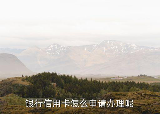 银行信用卡怎么申请办理呢