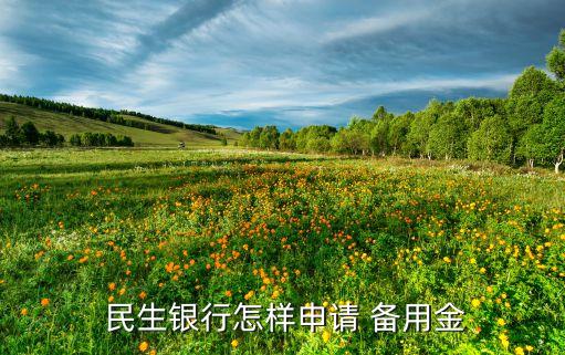  民生银行怎样申请 备用金