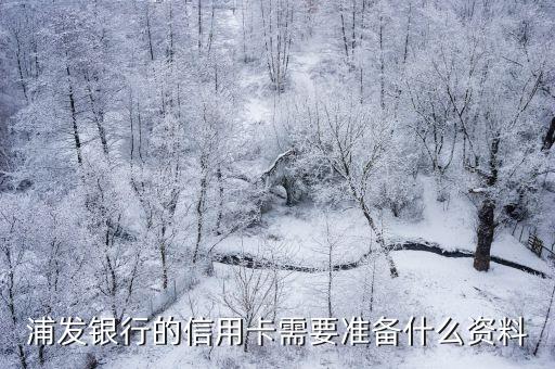 浦发银行的信用卡需要准备什么资料