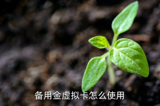 备用金虚拟卡怎么使用