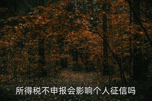 所得税不申报会影响个人征信吗