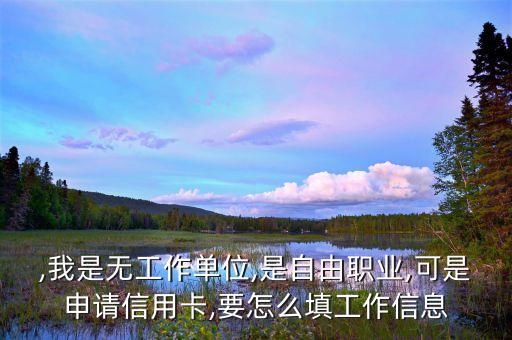 ,我是无工作单位,是自由职业,可是申请信用卡,要怎么填工作信息