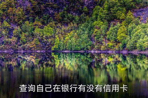 统计信用卡还款记录怎么查,哪里可以查询信用卡还款记录