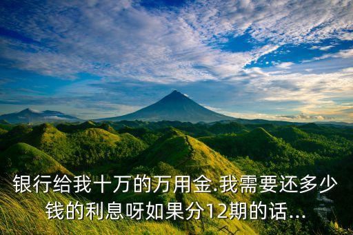 银行给我十万的万用金.我需要还多少钱的利息呀如果分12期的话...