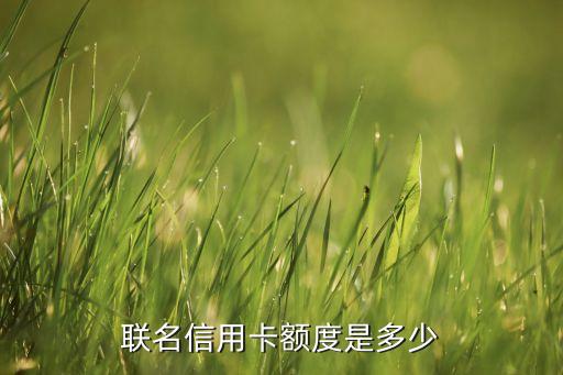 美团信用卡如何查额度,如何注销美团信用卡