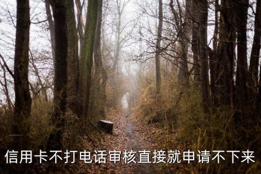 信用卡不打电话审核直接就申请不下来