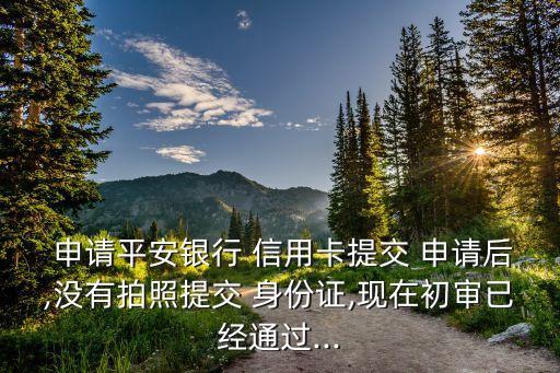  申请平安银行 信用卡提交 申请后,没有拍照提交 身份证,现在初审已经通过...