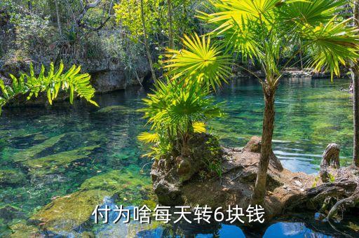 付为啥每天转6块钱