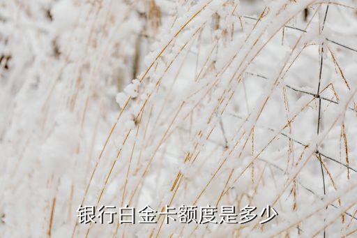银行白金卡额度是多少