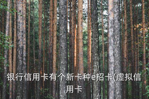 网上虚体申请信用卡秒批,如何在网上申请信用卡