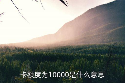 卡额度为10000是什么意思