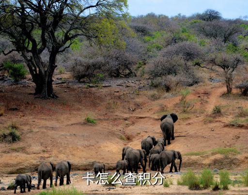 甘肃银行信用卡怎么取现,如何查询信用卡积分