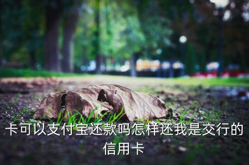 卡可以支付宝还款吗怎样还我是交行的信用卡
