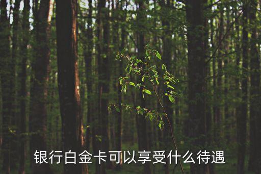 银行白金卡可以享受什么待遇