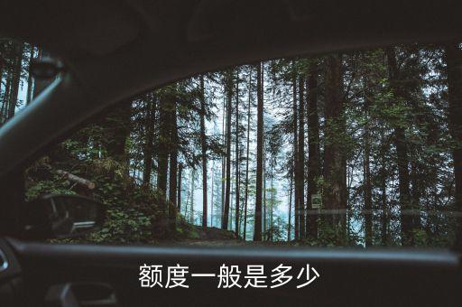 真金信用卡额度10万,牡丹真金信用卡额度