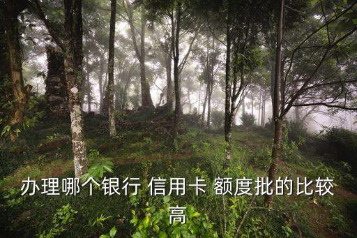 办理哪个银行 信用卡 额度批的比较高