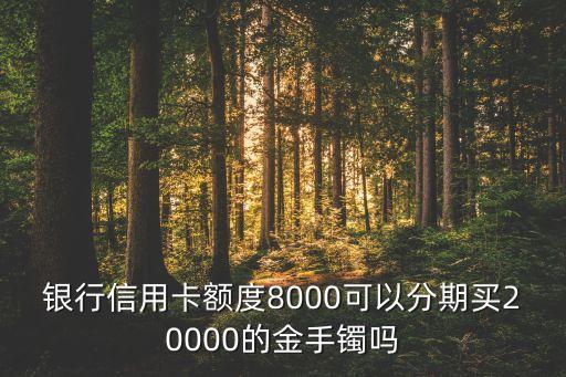 银行信用卡额度8000可以分期买20000的金手镯吗