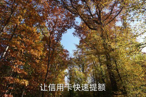让信用卡快速提额