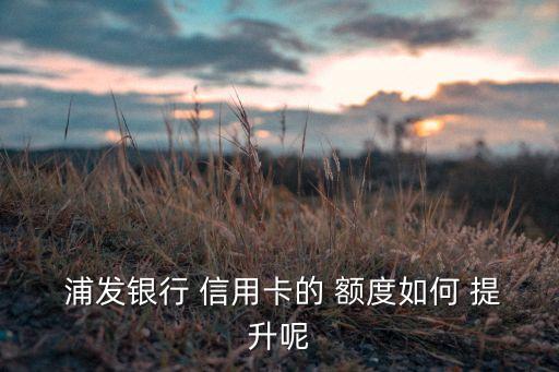 浦发信用卡用多久提升额度