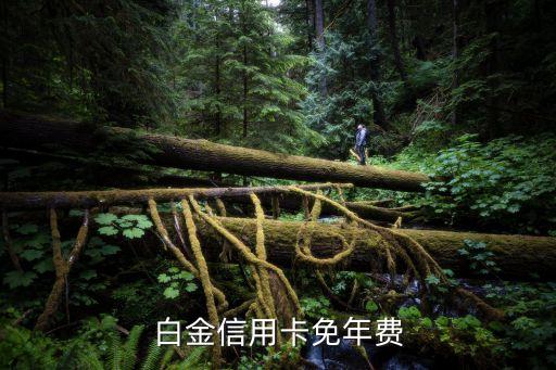 白金信用卡免年费