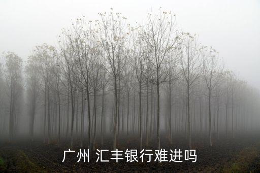 广州 汇丰银行难进吗