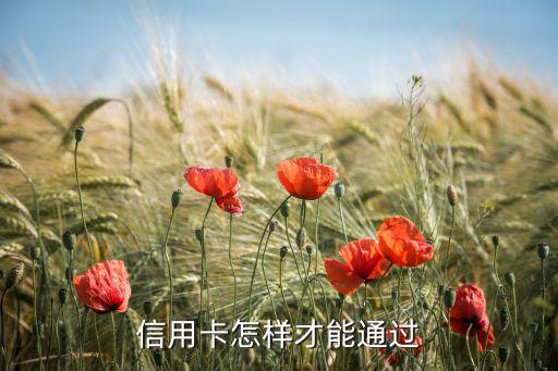 申请信用卡怎么不被拒,我该怎么做才能防止信用卡被拒