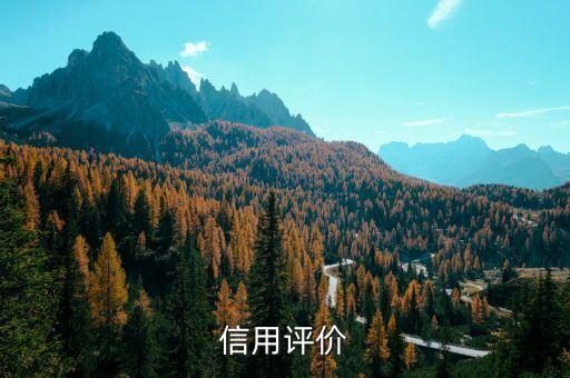 信用评价